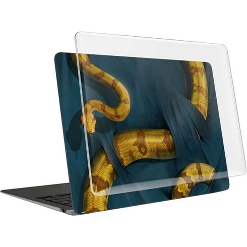Boa Constrictor by Vincent Hie MacBook Air 15in (2023-2025) Case plus Skin